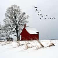 Neilson Farm Winter