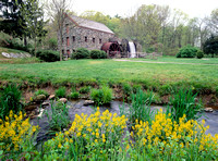 Grist Mill in Summer, Sudbury, Massachusetts